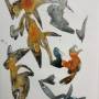 tintenzeichnung_40x60_forms_orange_and_black.jpeg
